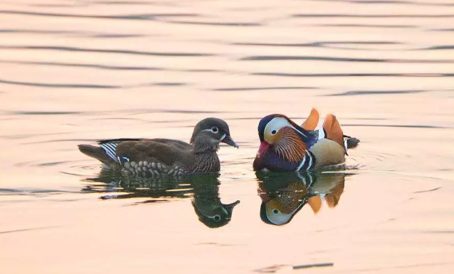 爱燃情感 爱燃情感