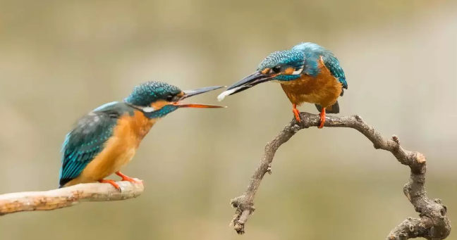 爱燃情感 爱燃情感