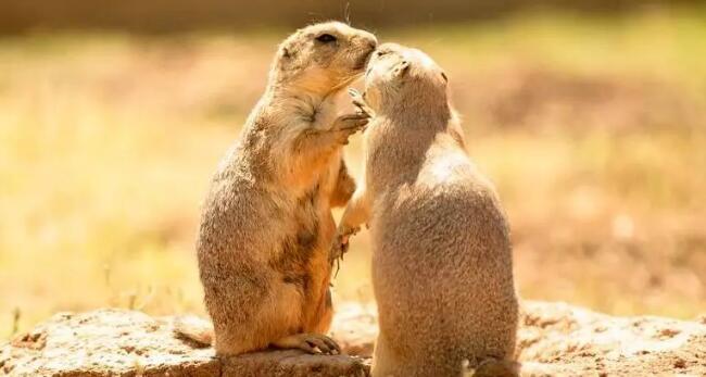 爱燃情感 爱燃情感