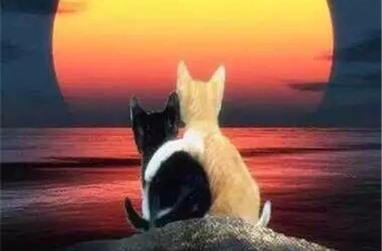 爱燃情感:男人越是珍惜你,这4件事就越不会主动 爱燃情感:男人越是珍惜你,这4件事就越不会主动