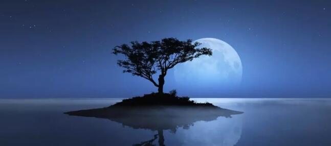 爱燃情感 爱燃情感