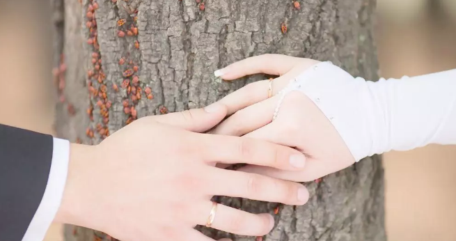 爱燃情感 爱燃情感