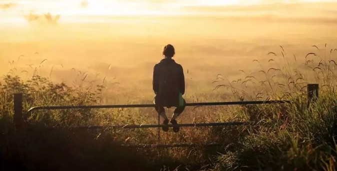 婚恋关系 婚恋关系