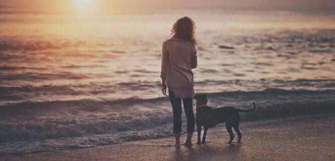 婚姻修复爱燃情感 婚姻修复爱燃情感