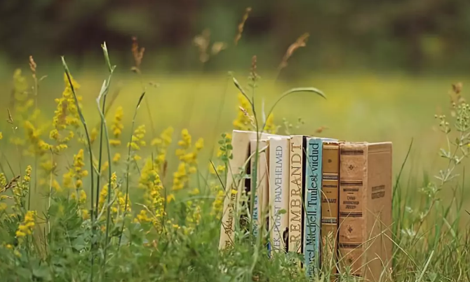 爱燃情感 爱燃情感