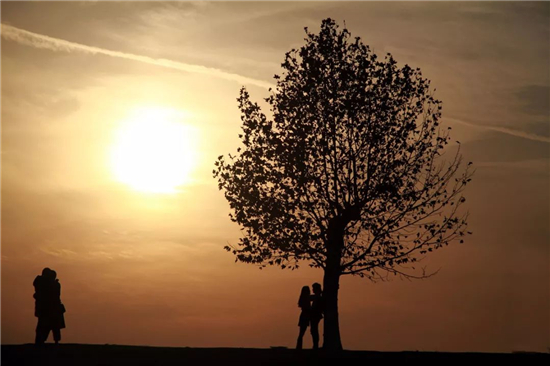 爱燃情感 爱燃情感