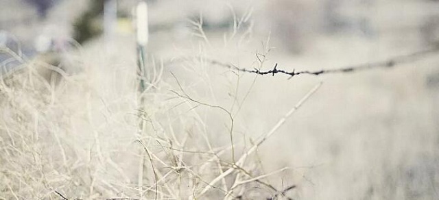 爱燃情感:男人出轨到底值不值挽回?用4个方 法判断 爱燃情感:男人出轨到底值不值挽回?用4个方 法判断