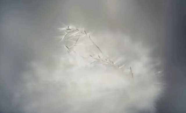 爱燃情感:男人出轨到底值不值挽回?用4个方 法判断 爱燃情感:男人出轨到底值不值挽回?用4个方 法判断